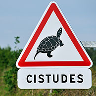 Waarschuwingsbord / Verkeersbord voor overstekende Europese moerasschildpadden (Emys orbicularis), La Brenne, Frankrijk
