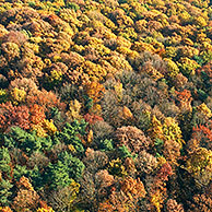 Gemengd bos met Zomereik (Quercus robur), Berk (Betula sp.) en poel in herfst vanuit de lucht, België
