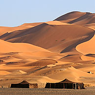 Bedoeïenententen en dromedarissen (Camelus dromedarius) aan de voet van rode zandduin, Erg Chebbi, Sahara woestijn, Marokko
 