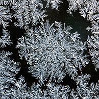 IJsbloemen / ijskristallen op bevroren raam in winter, België
