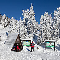 Toeristen en bevroren sparren bedekt met sneeuw in de winter in het Nationaal Park Harz, Duitsland

