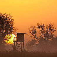 Hoogzit van jagers in de mist bij zonsopgang in weiland

