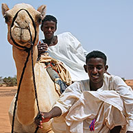 Jongens met dromedaris (Camelus dromedarius) bij de piramides van Meroe, Soedan, Afrika
