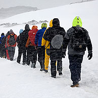 Toeristen wandelen in rij in de sneeuw op het Barrientos Island, Zuidelijke Shetlandeilanden, Antarctica
