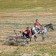 Kirgizische jongens bewerken land met paard in de Osh Provincie, Kirgizië