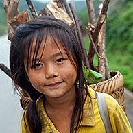 Laotiaanse kinderen dragen sprokkelhout op hun rug in de Luang Namtha Provincie, Laos