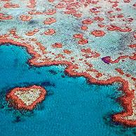 Groot Barrièrerif / Great Barrier Reef of the Whitsundays in de Koraalzee / Coral sea, Queensland, Australië