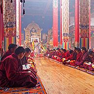 Jonge Tibetaanse monniken in het Dzogchen Gompa / Deogchen klooster nabij Zhuqing, Sichuan Provincie, China