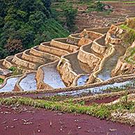 Rijstvelden in terrasvorm in de heuvels nabij Xinjie in het Yuangyang district, Yunnan provincie, China