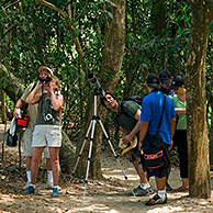 Vogelkijkers / Vogelaars met verrekijkers en telescoop, Manuel Antonio NP, Costa Rica
