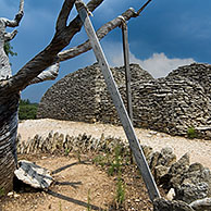 Getorste amandelboom in het gerestaureerde dorp Les Bories met zijn traditionele stenen Gallische hutten te Gordes, Provence, Frankrijk
