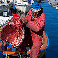 Inuit jagers met vlees van geschoten muskusos (Ovibos moschatus) in de haven van Uummannaq, Groenland
