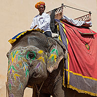 Mahout op versierde Indiase olifant aan het Amer Fort / Amber Fort nabij Jaipur, Rajasthan, India