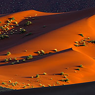 Rode zandduinen van de Sossusvlei / Sossus Vlei in de Namib woestijn bij zonsondergang, Namibië
