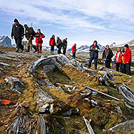 Toeristen kijken naar oude walvisbeenderen in Hornsund, Svalbard, Spitsbergen
