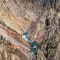 Grand Canyon of the Yellowstone rivier, Yellowstone Nationaal Park, Wyoming, US