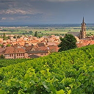 Onweer boven wijngaarden en zicht op het dorpje Dambach-la-Ville, Vogezen, Elzas, Frankrijk
