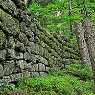 De muur Païen in bos nabij Mont Sainte-Odile, Vogezen, Elzas, Frankrijk
 